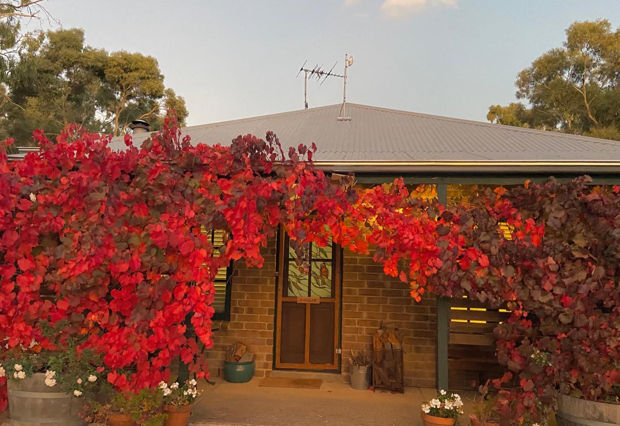 Battunga Cottages Watervale Exterior photo